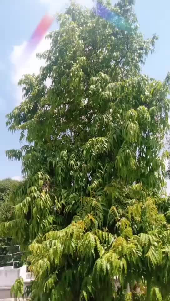 @user6490106319626