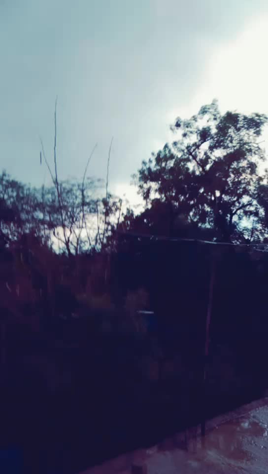 @Tik Toker