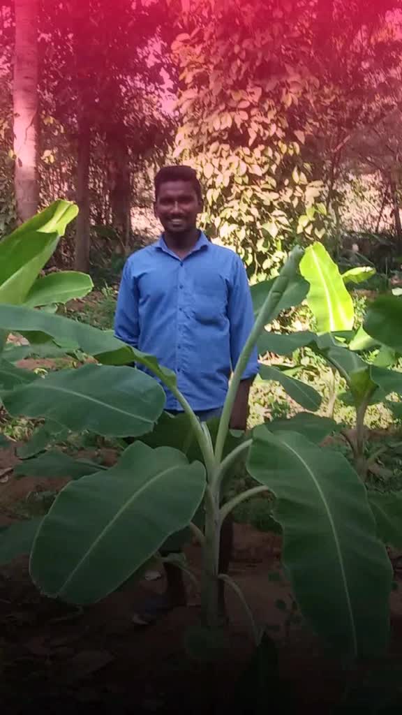 @user631606