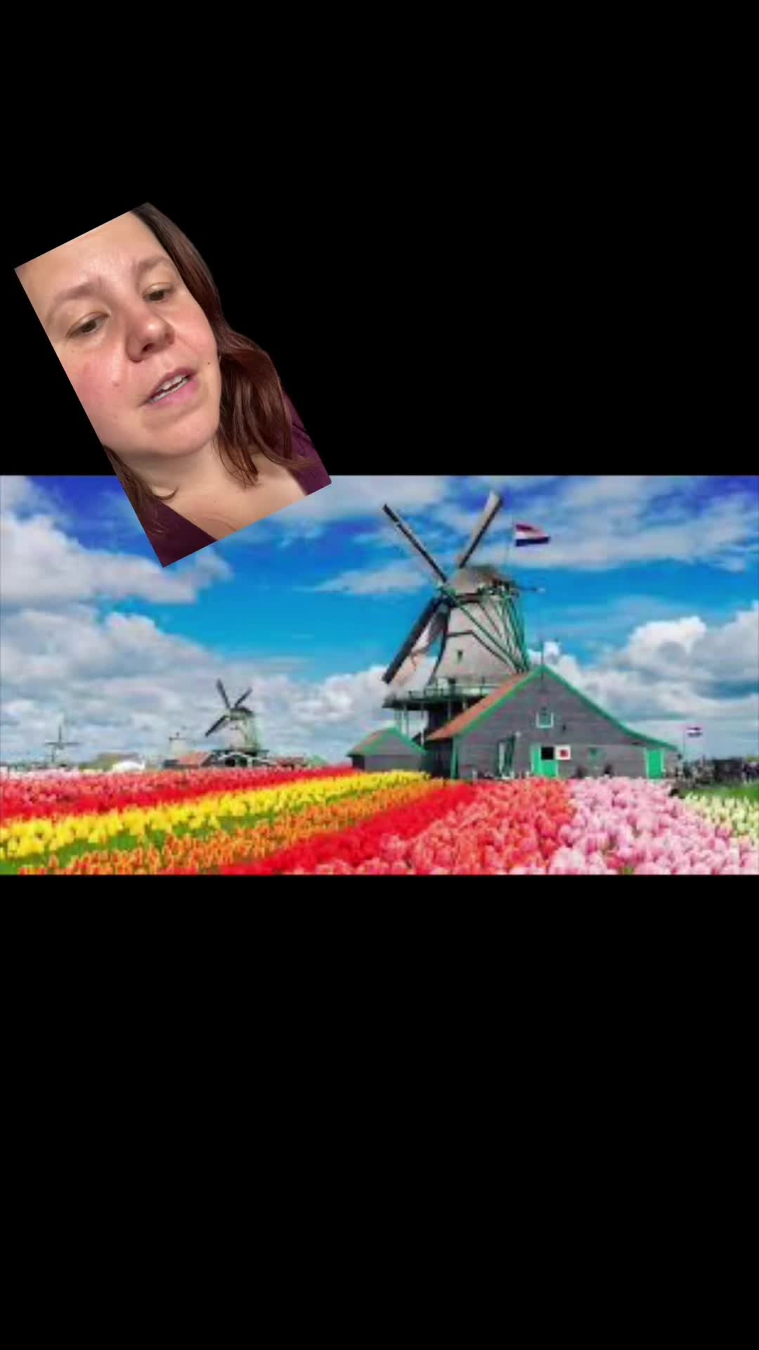 @Arielle Dundas