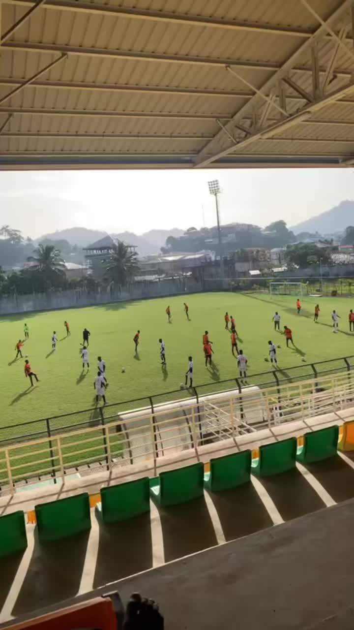 @Zambo anguissa29