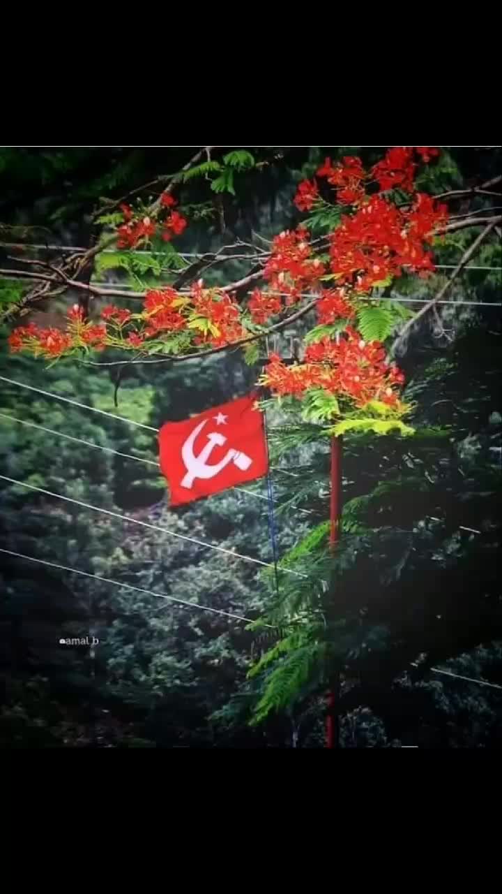 @ANIL KUMAR