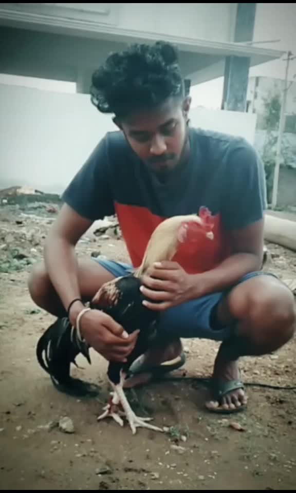 @sachu_sachin_11