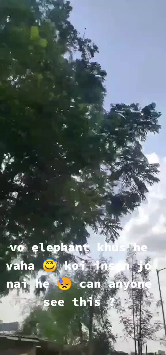 @vrushti vyas