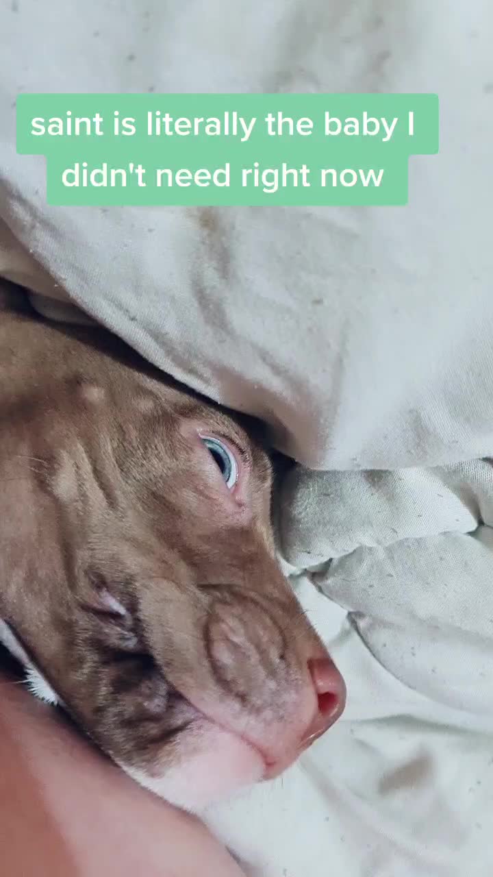 @JAYJAYS