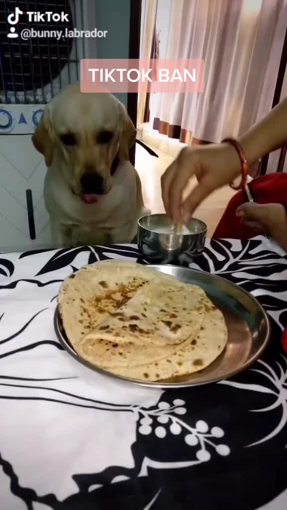 @user38530715122