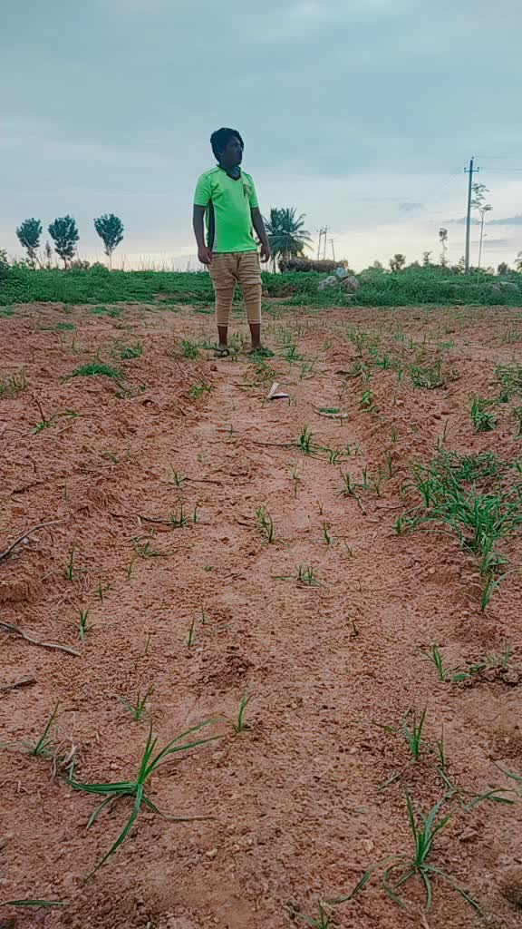 @Venki Raj