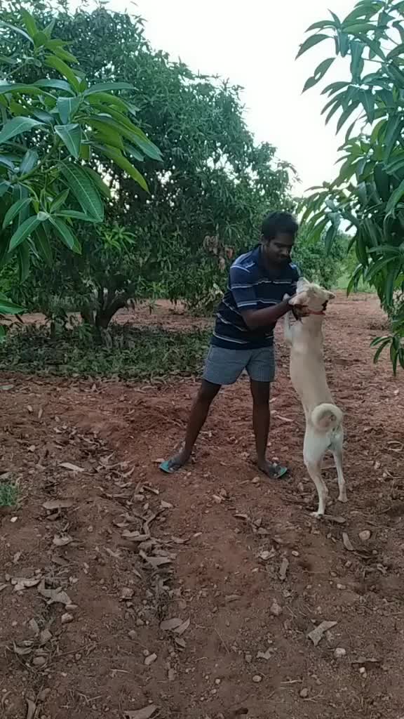 @தமிழ்💘