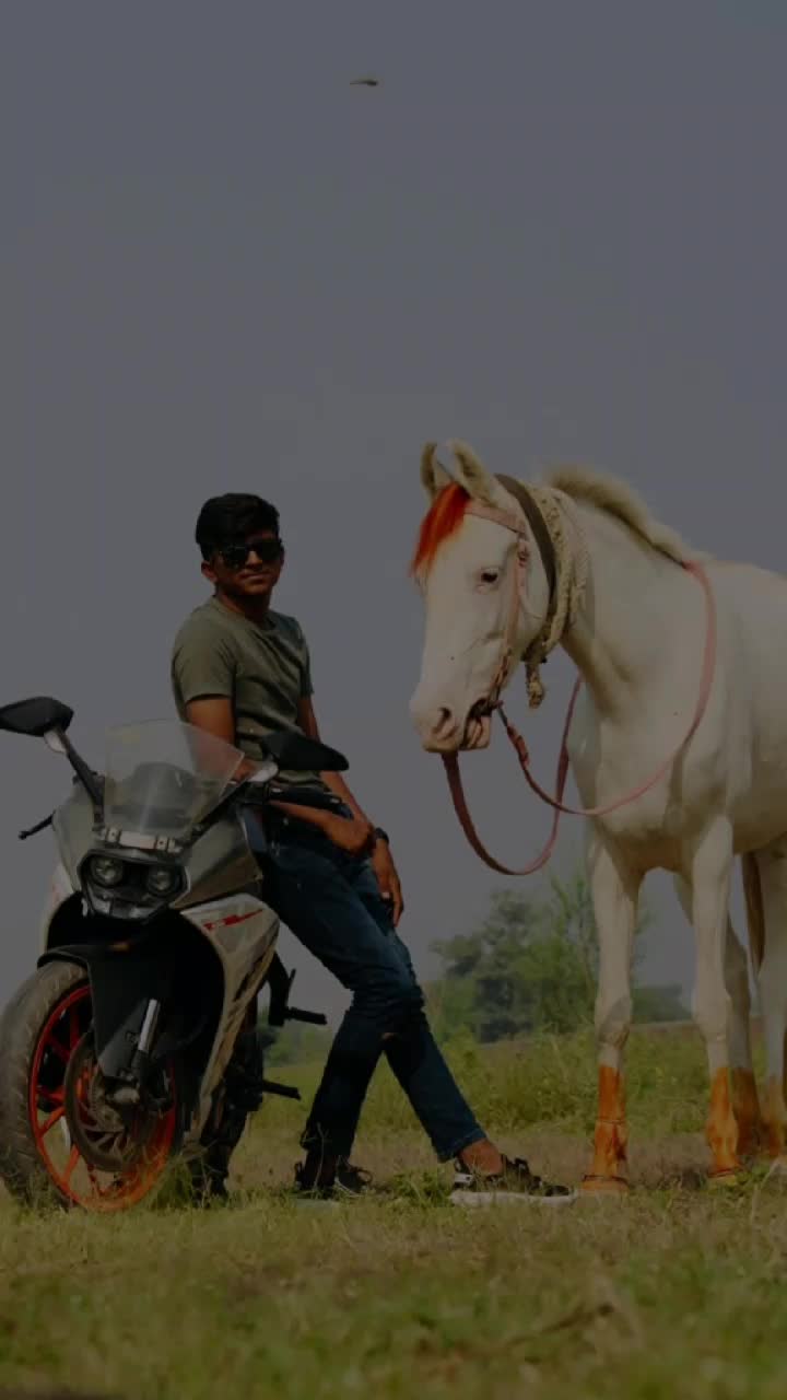 @Yuvibha Horse lover