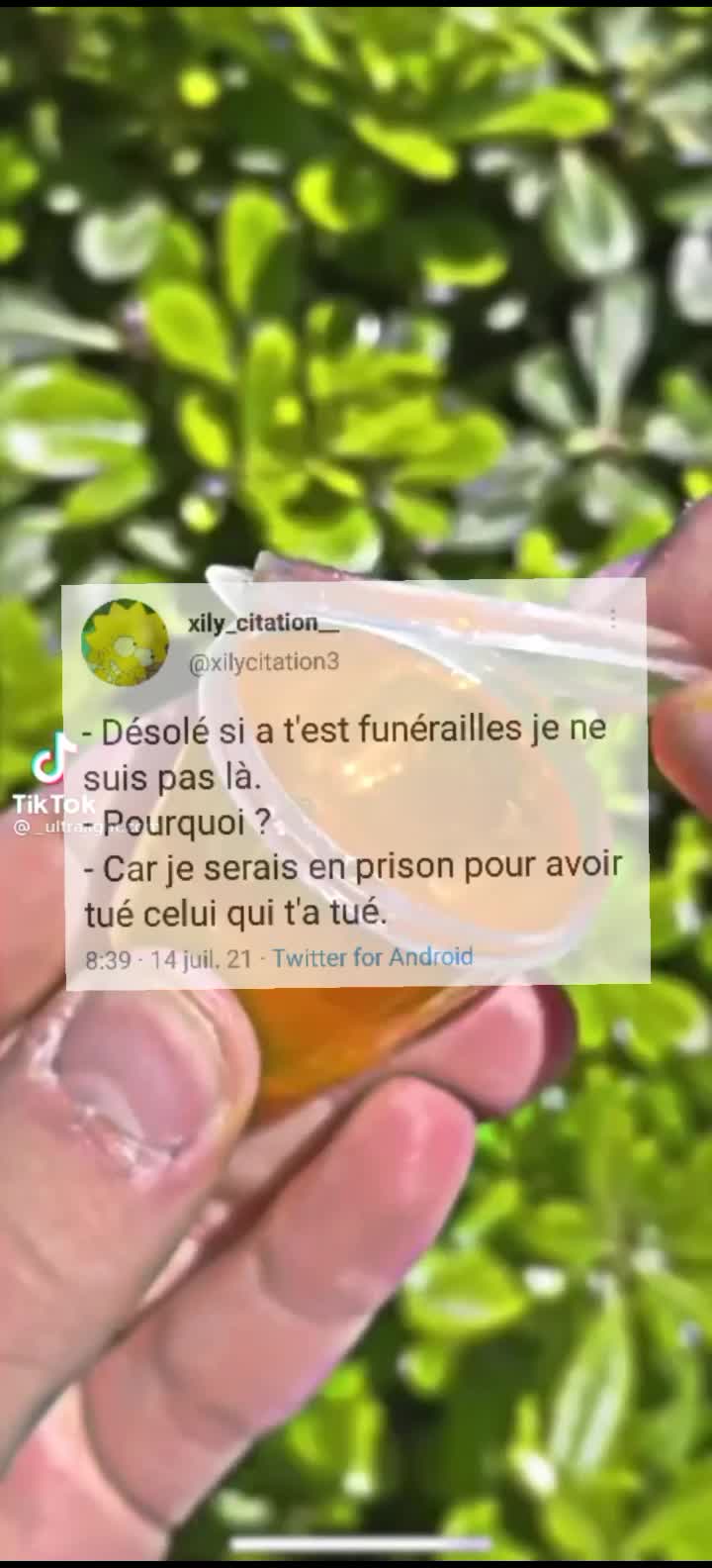@xily_citation_