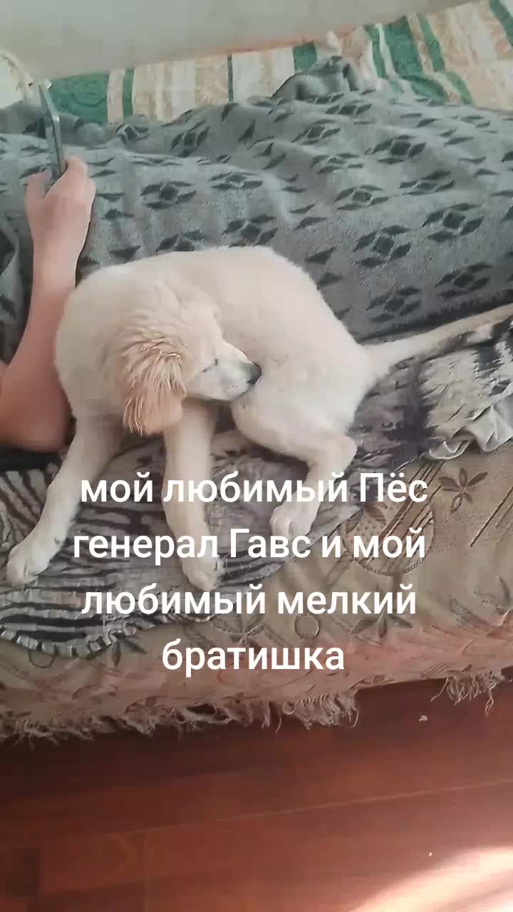 @Maggolosa