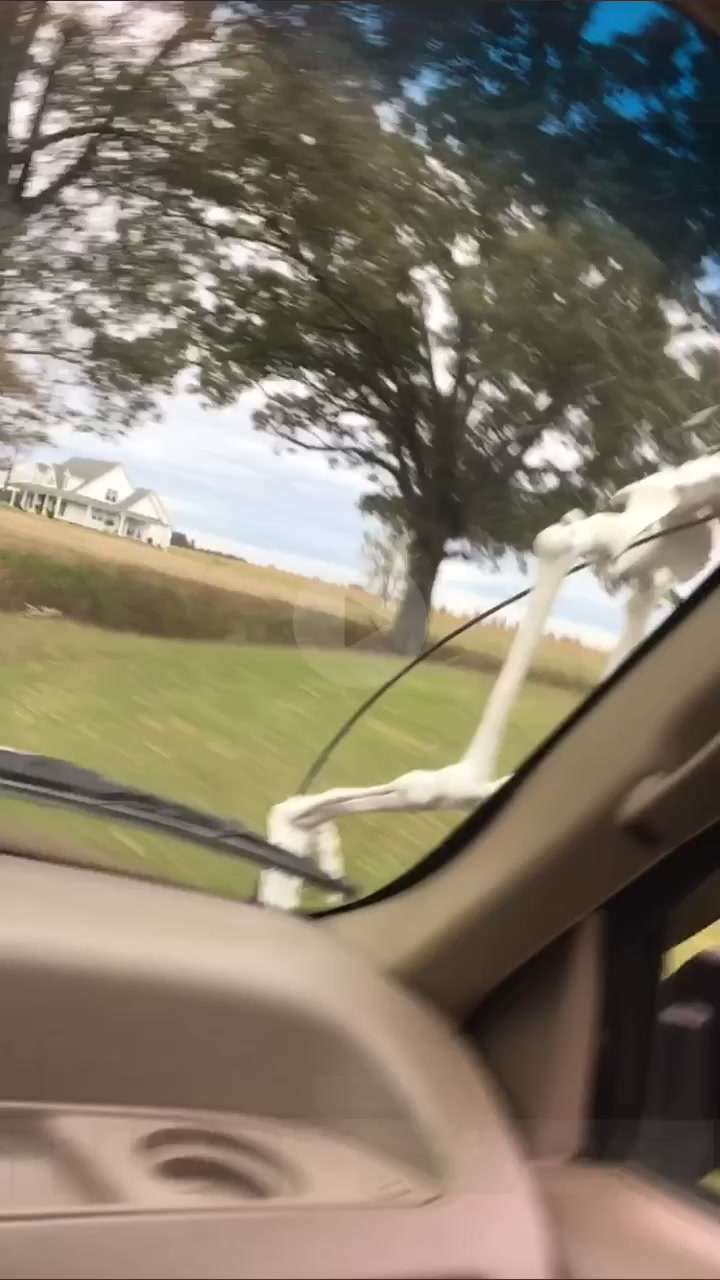 @Probskies