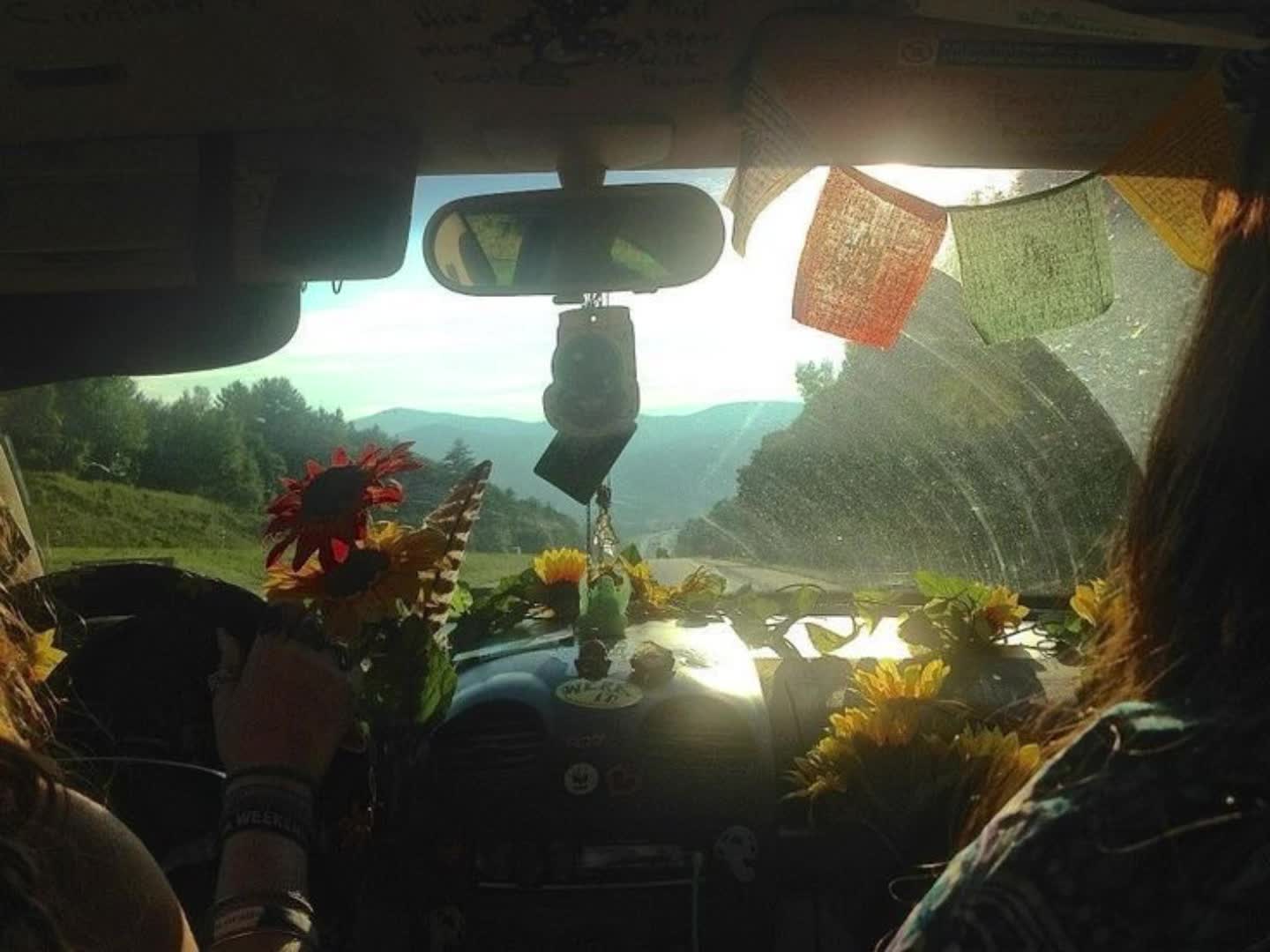 @🌲💐🫐