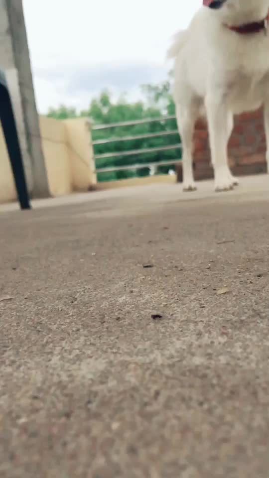 @PRà Shâñth