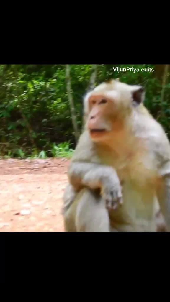 @vijunpriya_2019