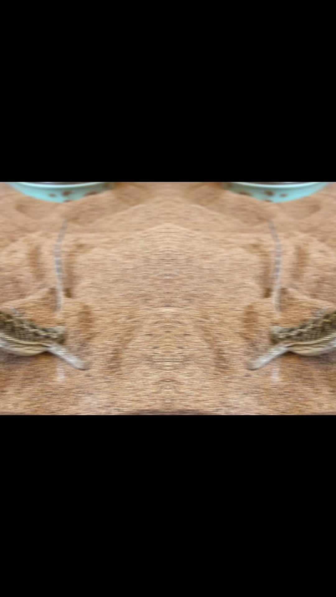 @G.I.Jules-IGY6 🪖🫡