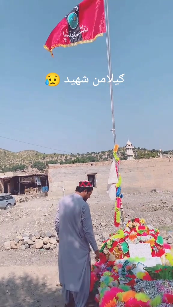 @WaliUllah
