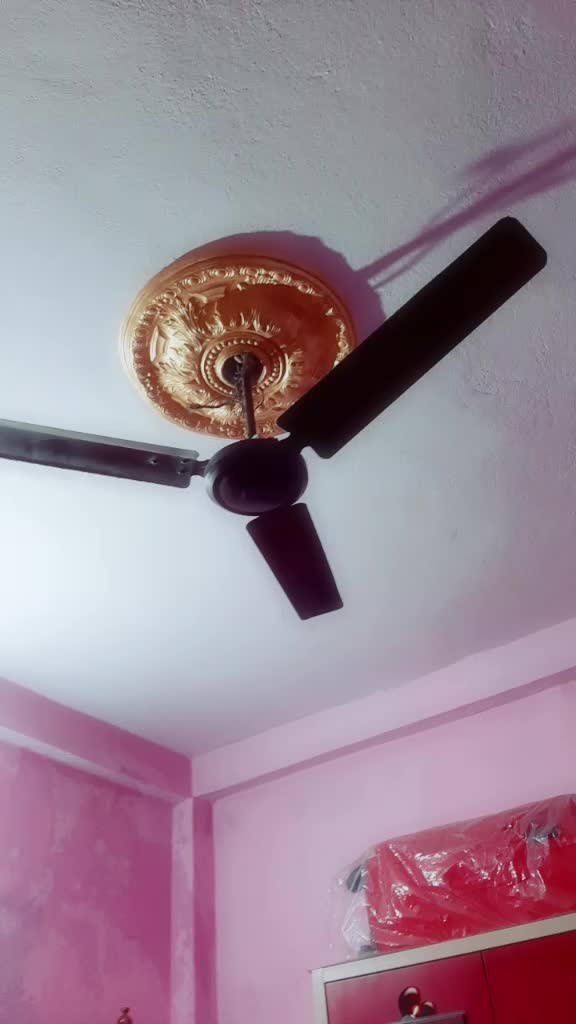 @kiransharma224