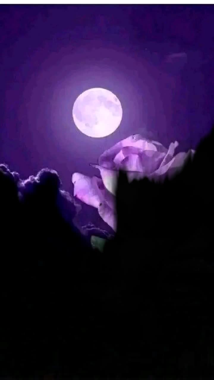 @priya rani