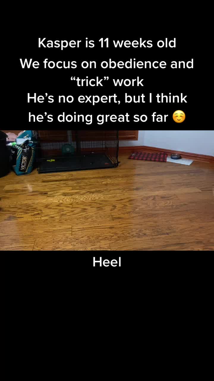 @Kasper