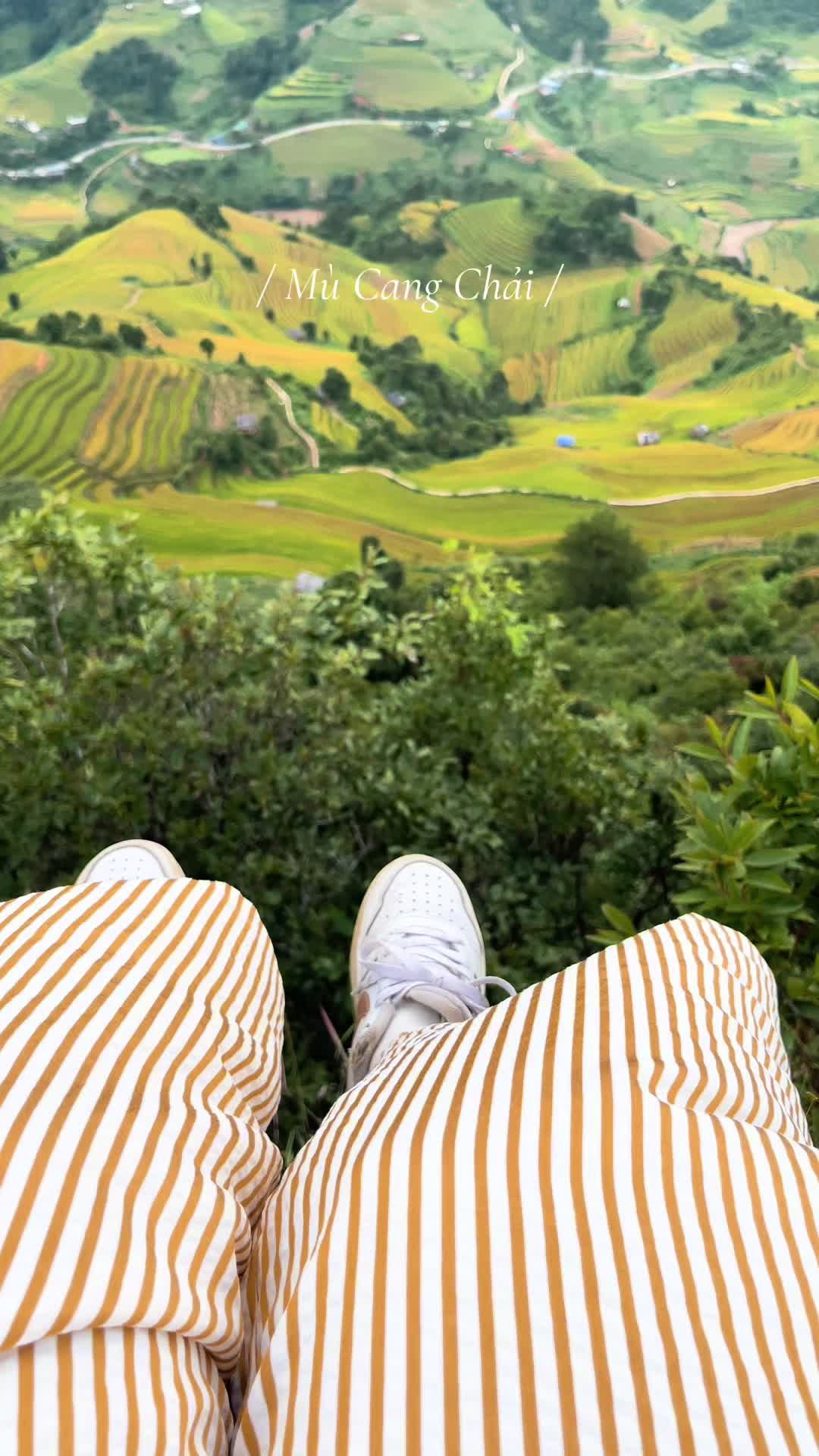 @Phương Trương
