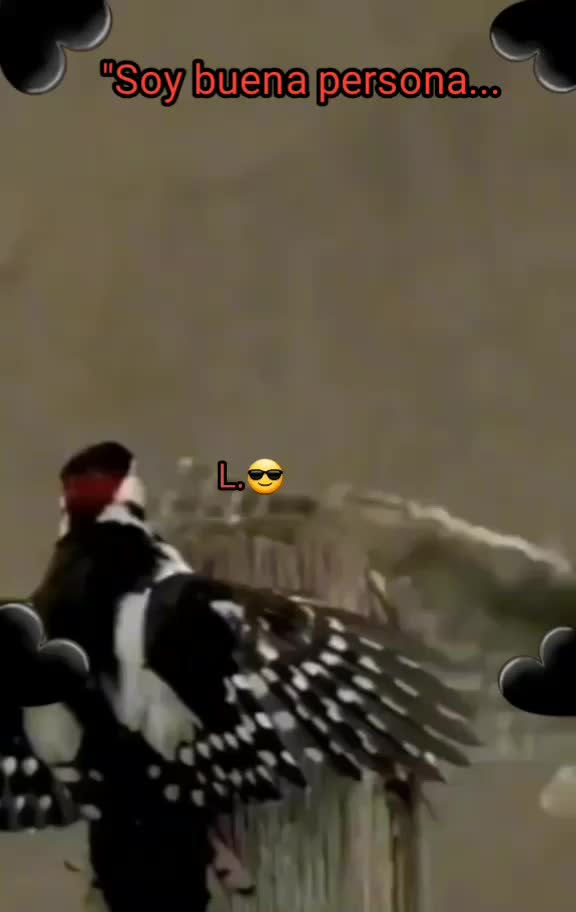 @🥁