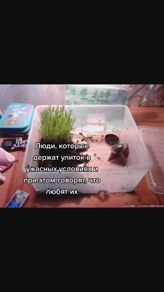 @Snails
