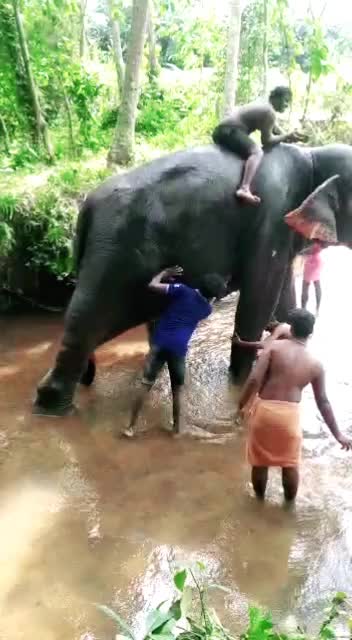@sujith babu