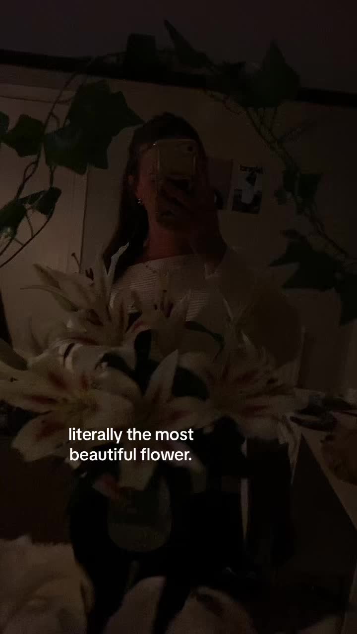 @Evie 🤍