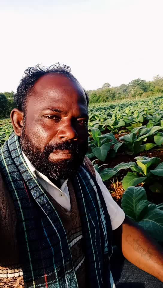 @user2545746495228
