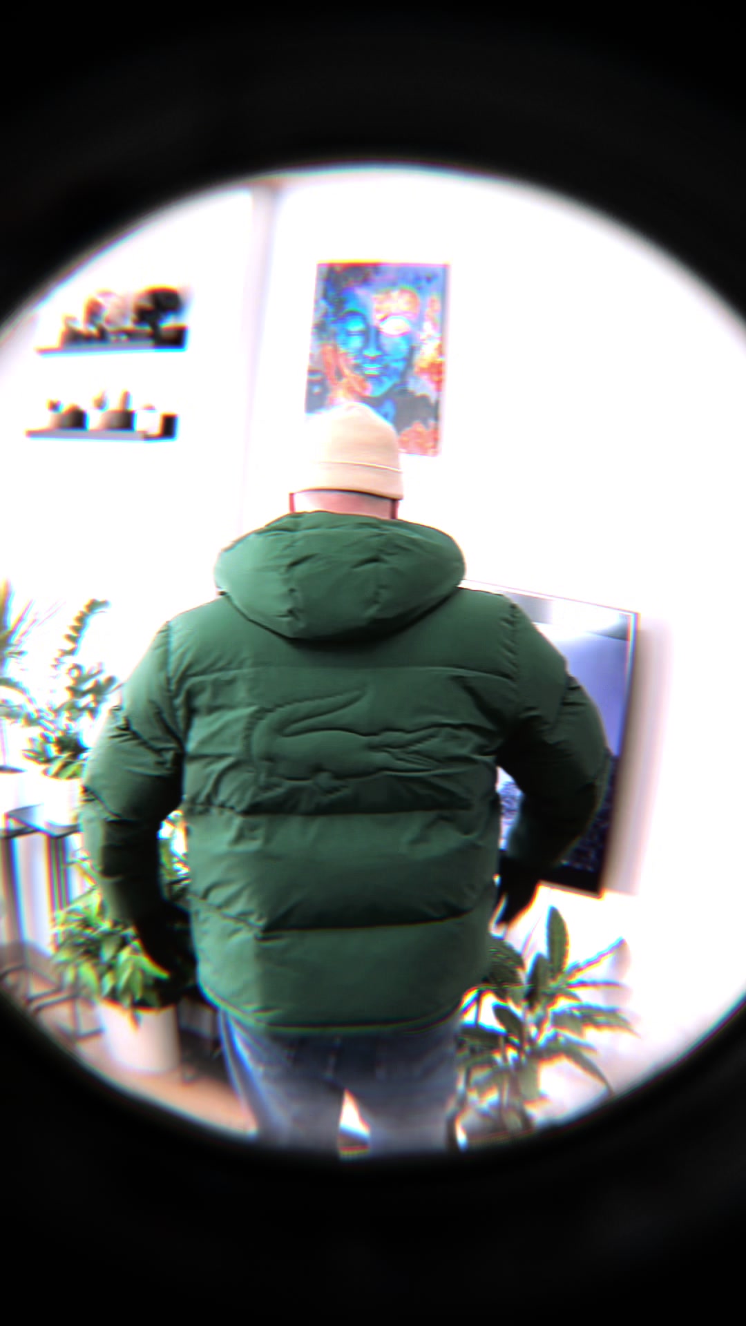 @DomSalamander