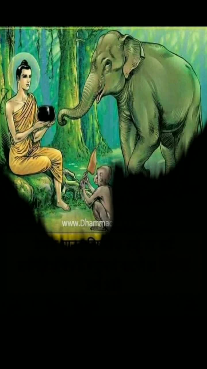 @Yash Shinde