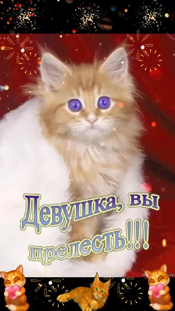@natalya74region