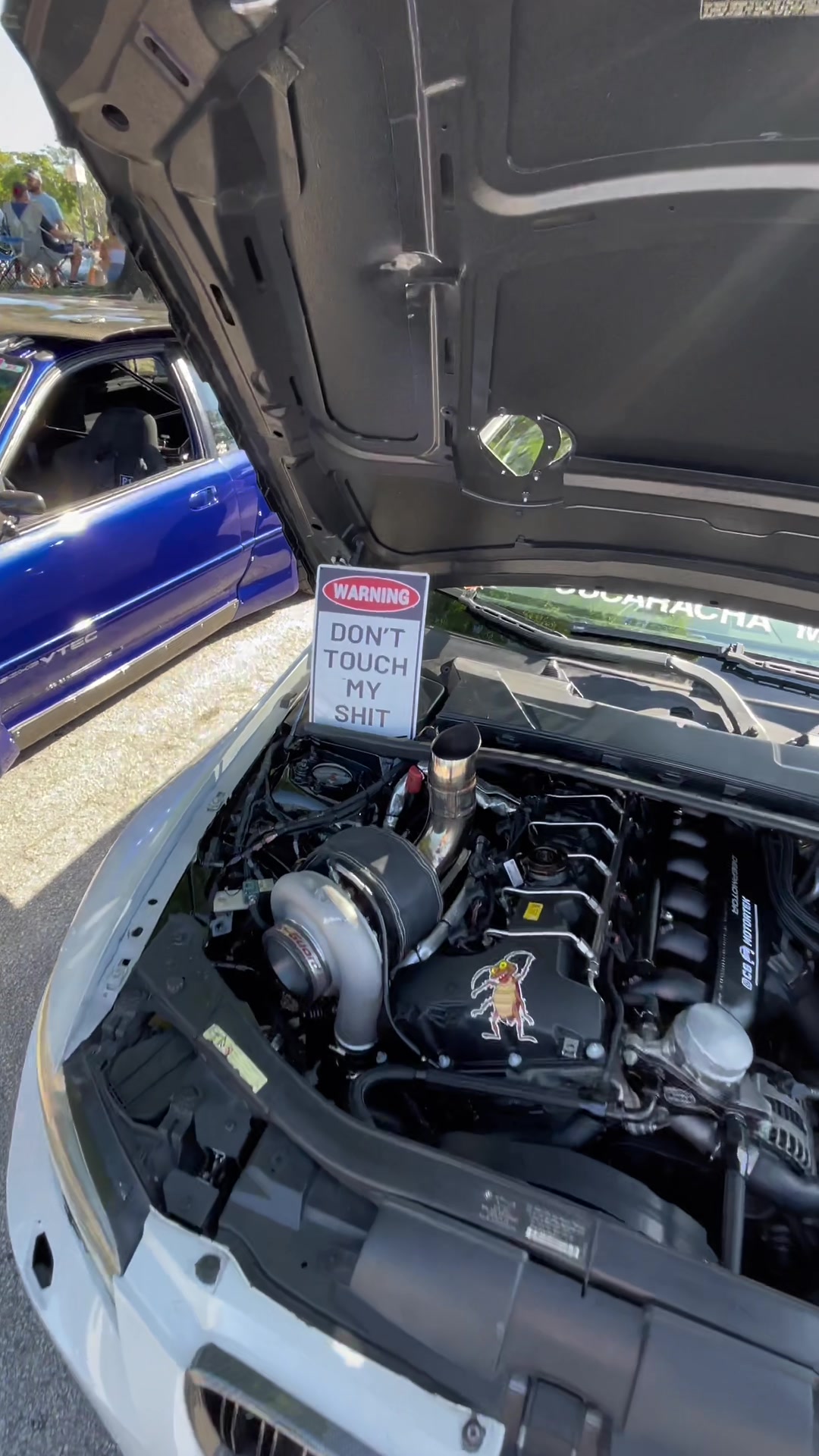 @marantawx