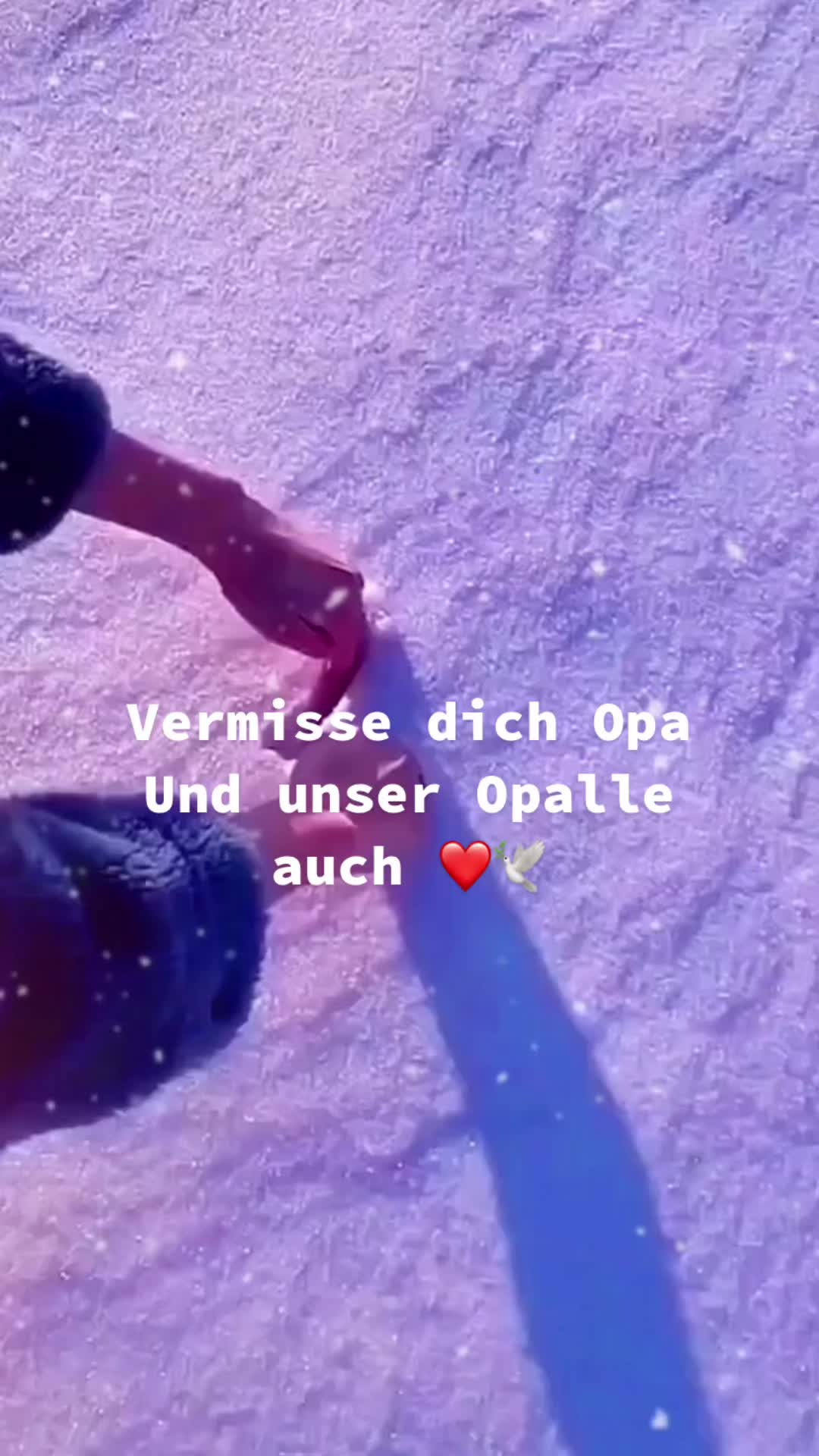 @sophie_03.12