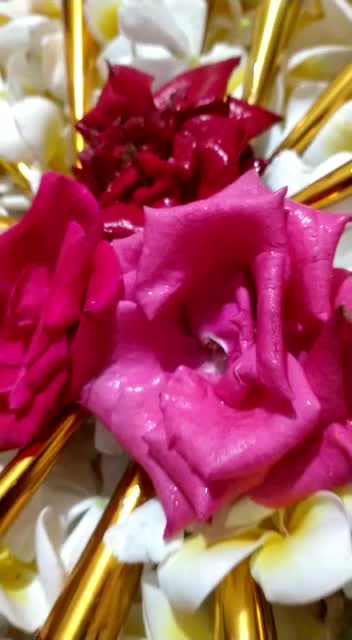 @@kallu_01😉