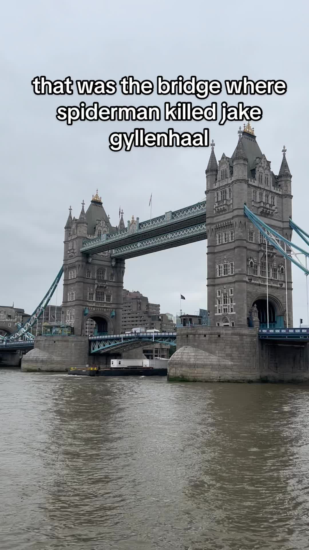@imqqqqqn