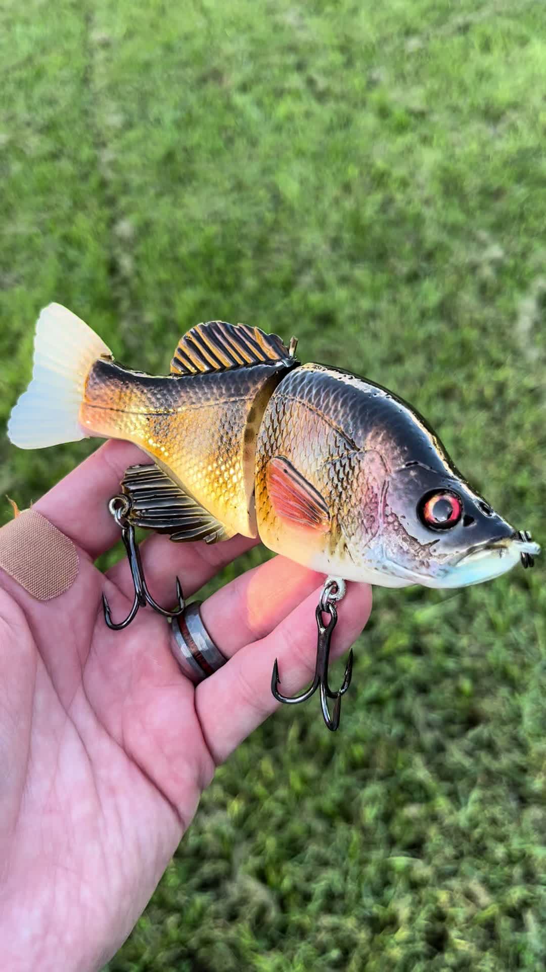 @grovesbaitco