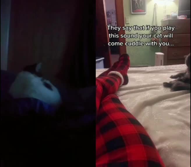 @DizzyFrizzle
