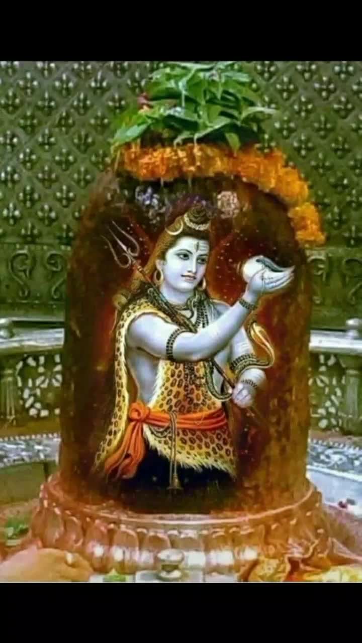 @user86774139773
