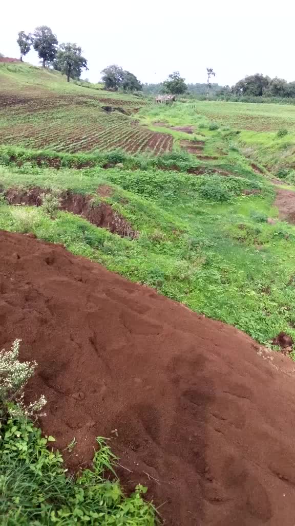 @user4354645482590