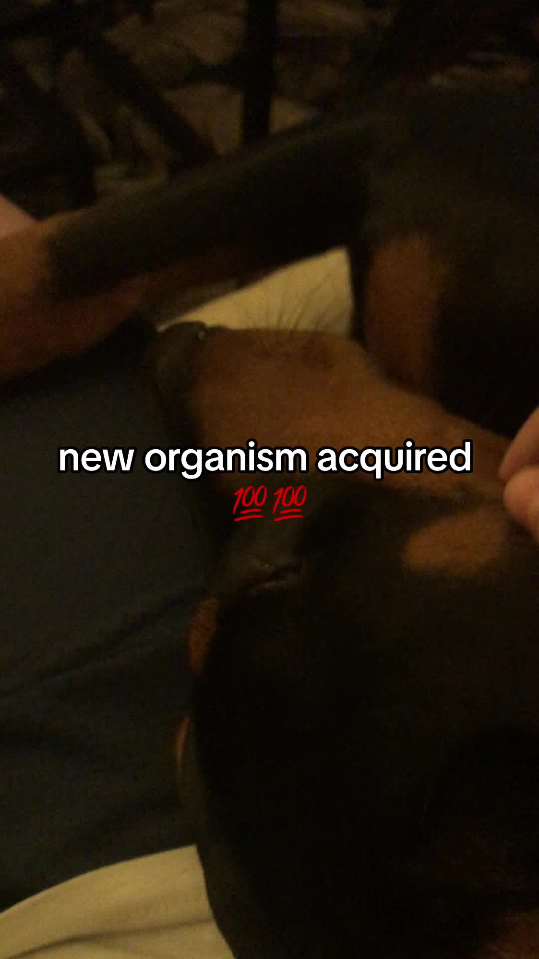 @BAZINGA🤑🤑💕