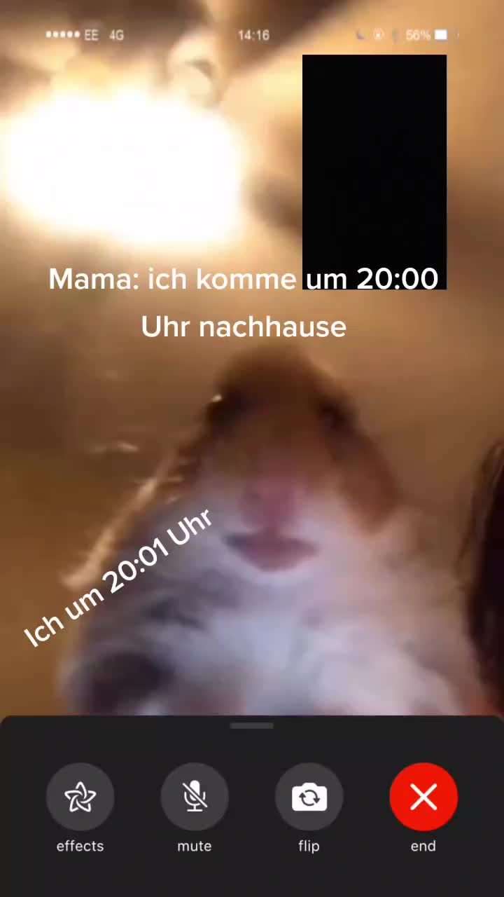 @Alessia12