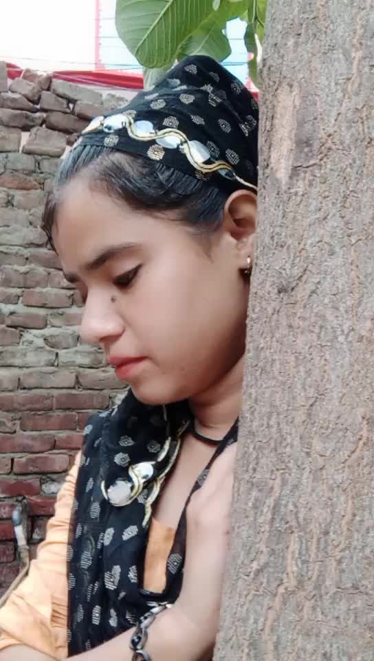 @seema kureshi