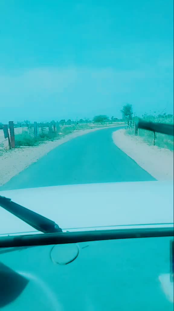 @Megh Banna 009
