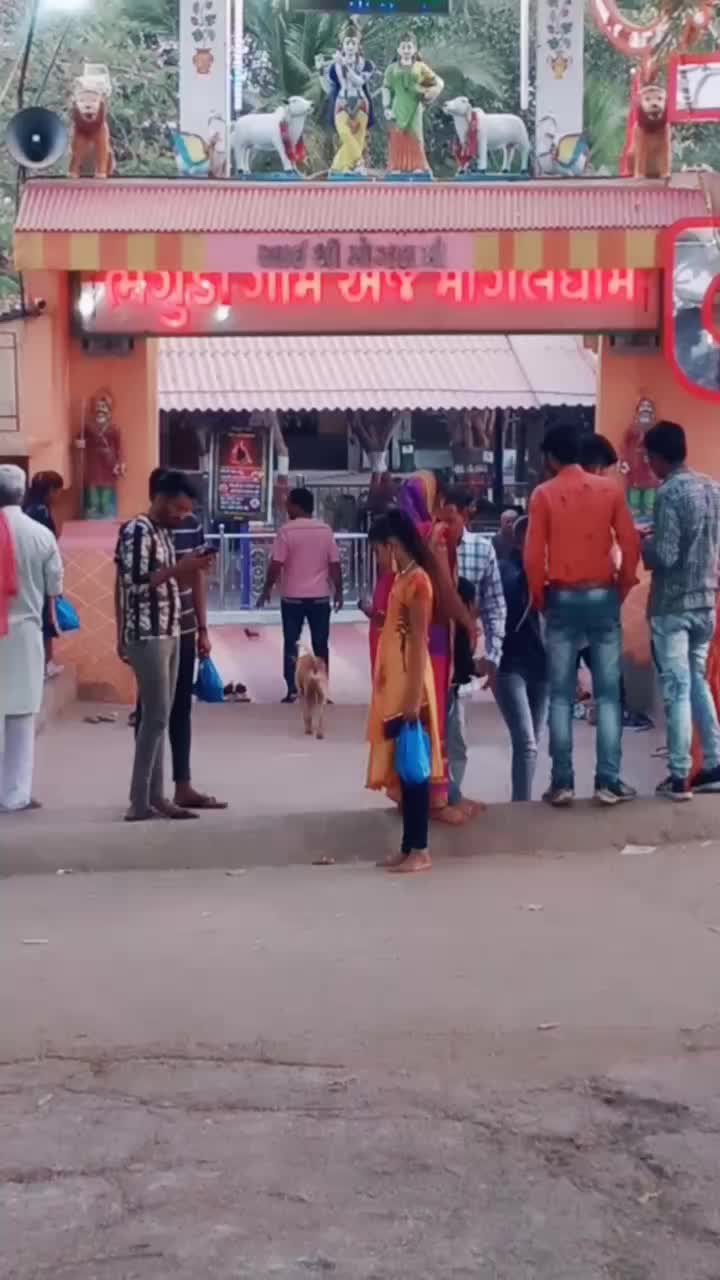 @ગાંડી ગીર નો હાવજ