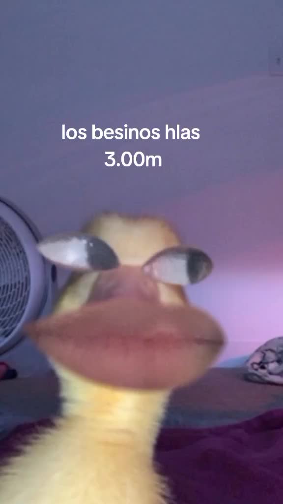 @mariana_montes0967