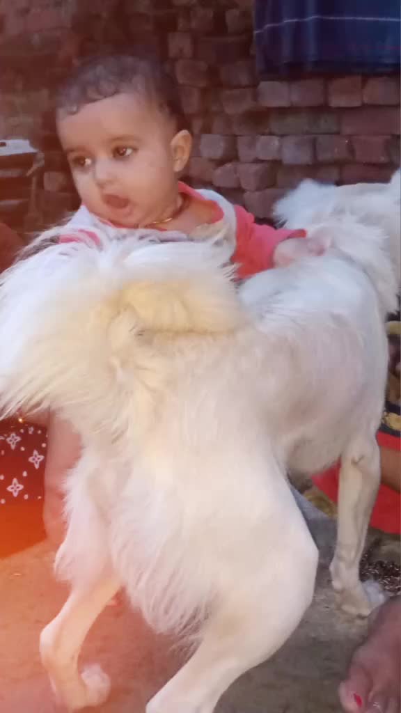 @minakshi Tiwari