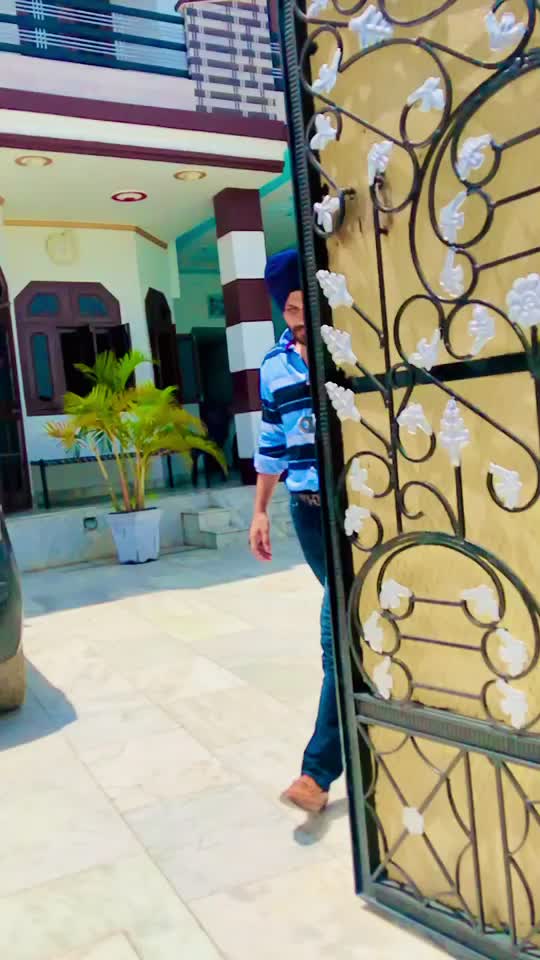 @gillsaab1313