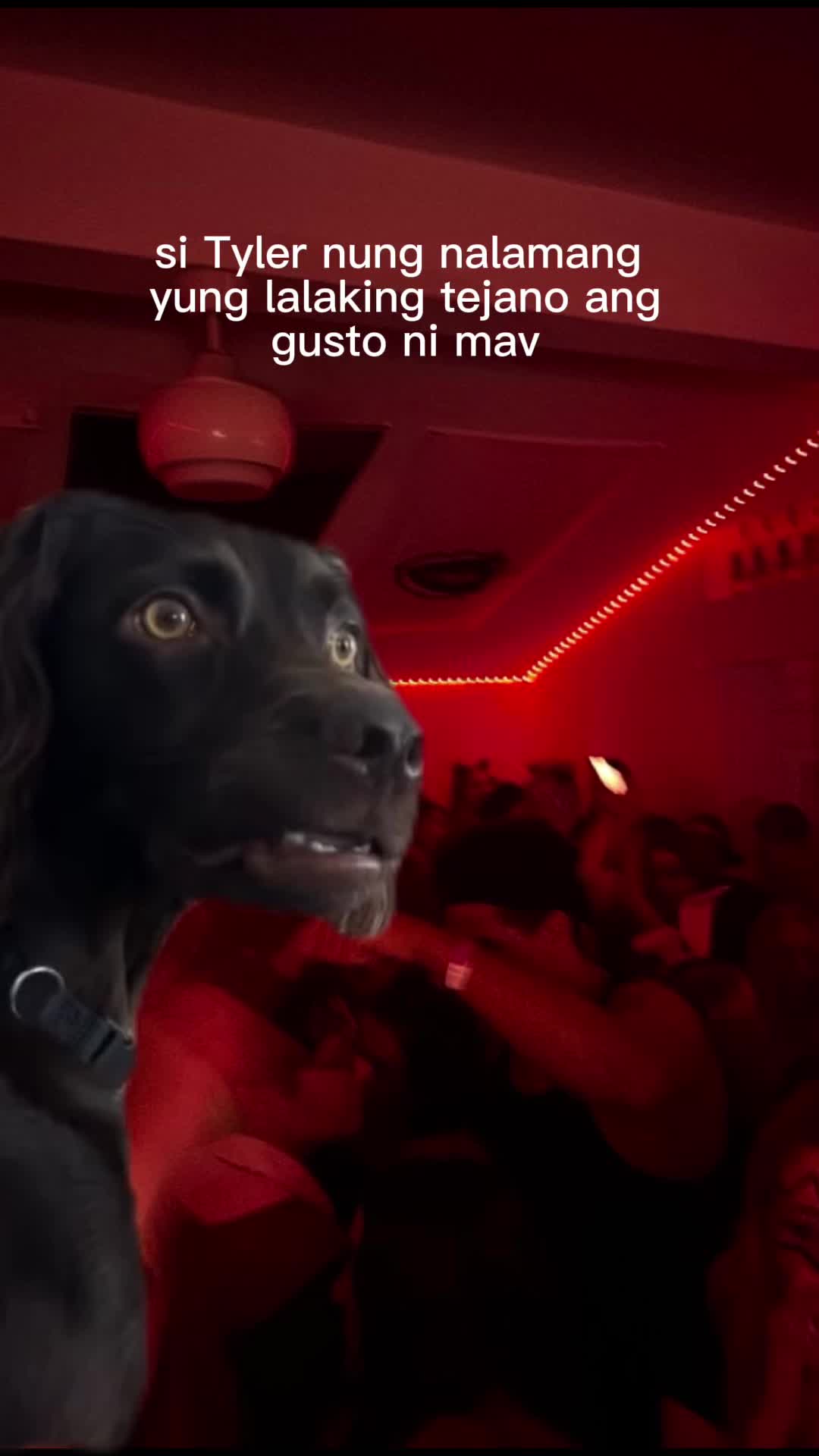 @chiki dog na bigay ni rade
